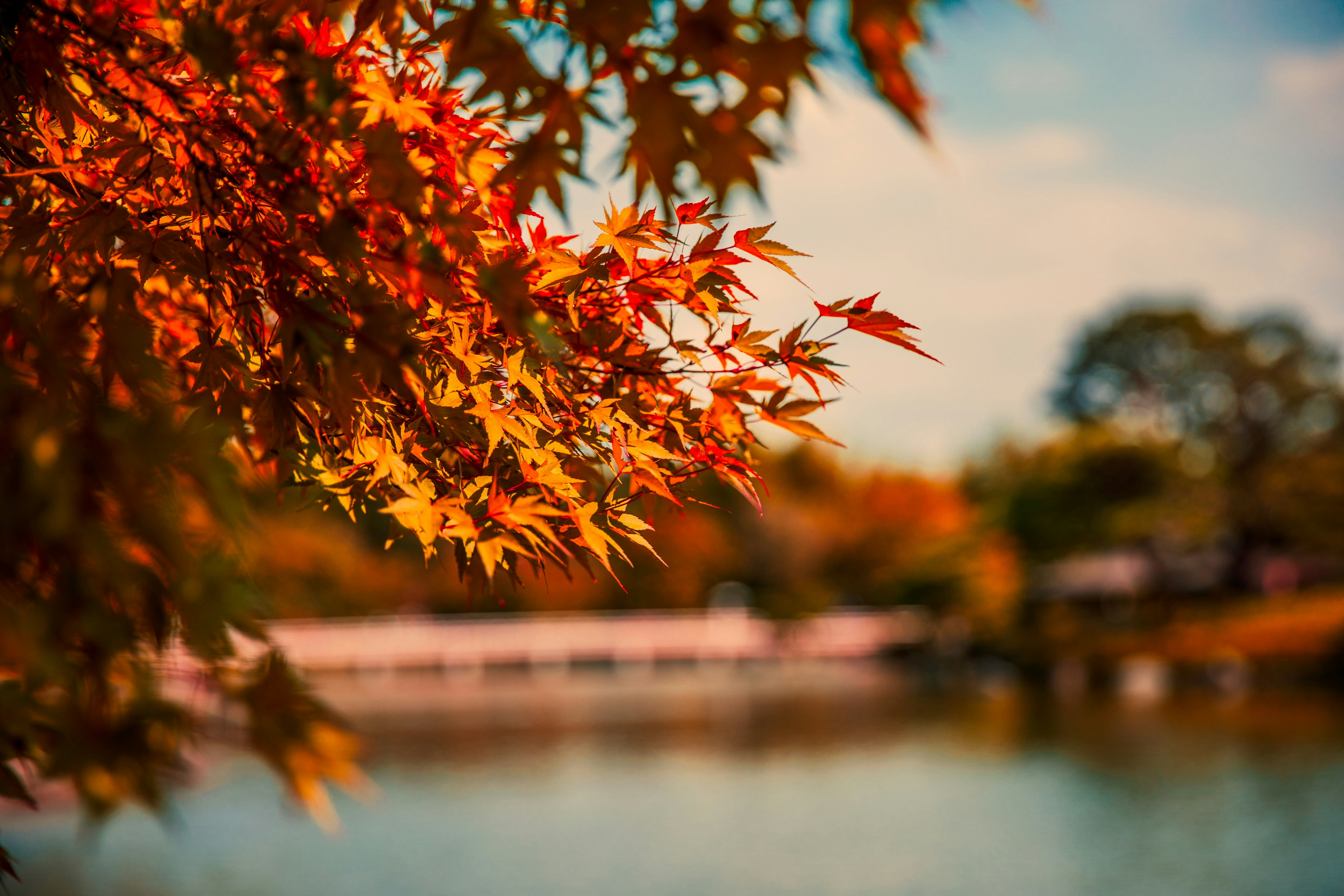 Why there's plenty to look forward to in the fall!